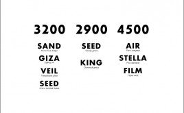 320029004500